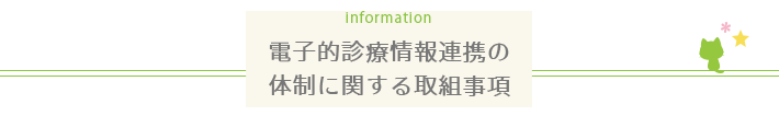 電子的診療情報連携の体制に関する取組事項