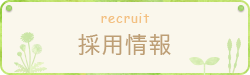 採用情報